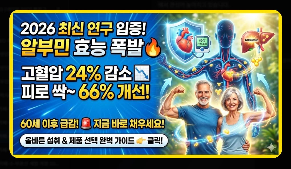 알부민 효능 완벽 분석 [2026 최신] 부족 증상 수치 및 올바른 제품 선택 가이드