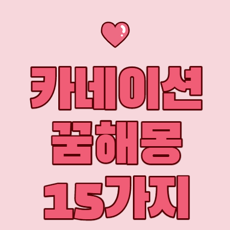 카네이션 꿈해몽 15가지