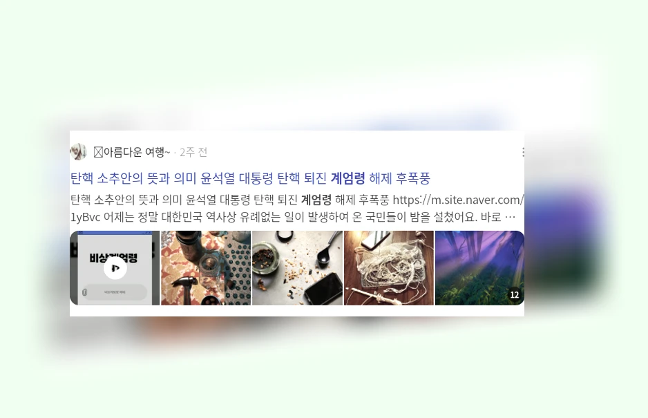 계엄령_2_subsection