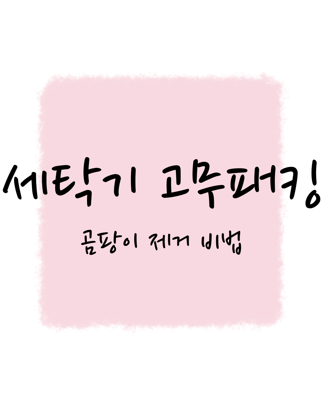 세탁기 고무패킹 곰팡이 제거 비법