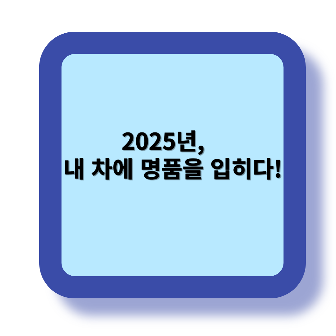 2025년, 내 차에 명품을 입히다! 관련 이미지