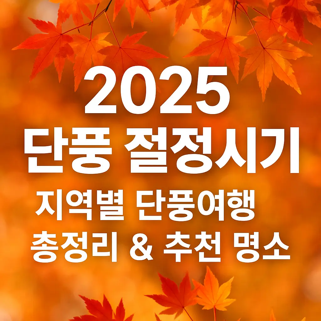 2025 단풍 절정시기 이미지 사진