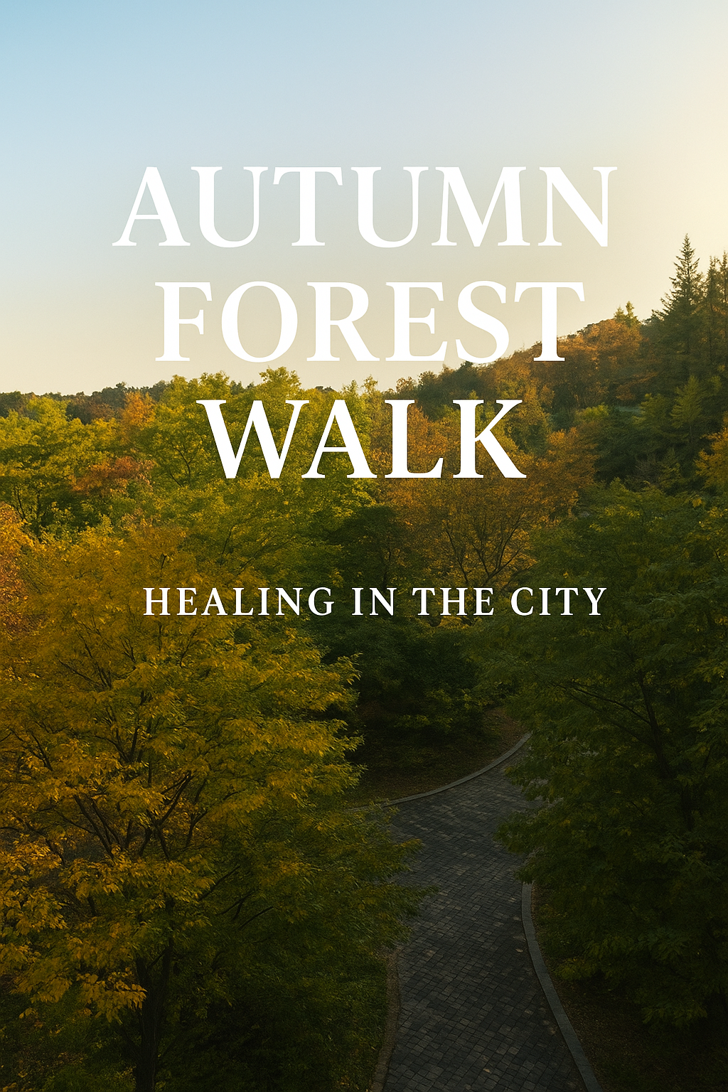 도심속가을산책사진