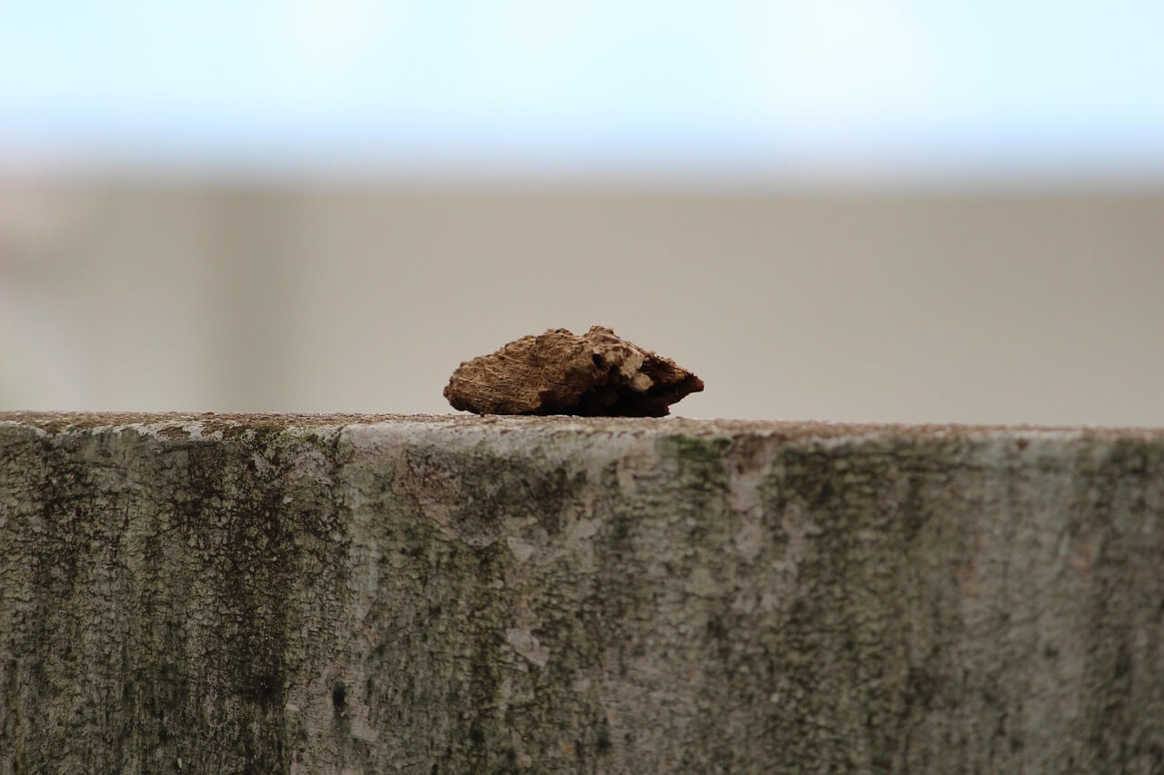 1인 가구 노후 준비
