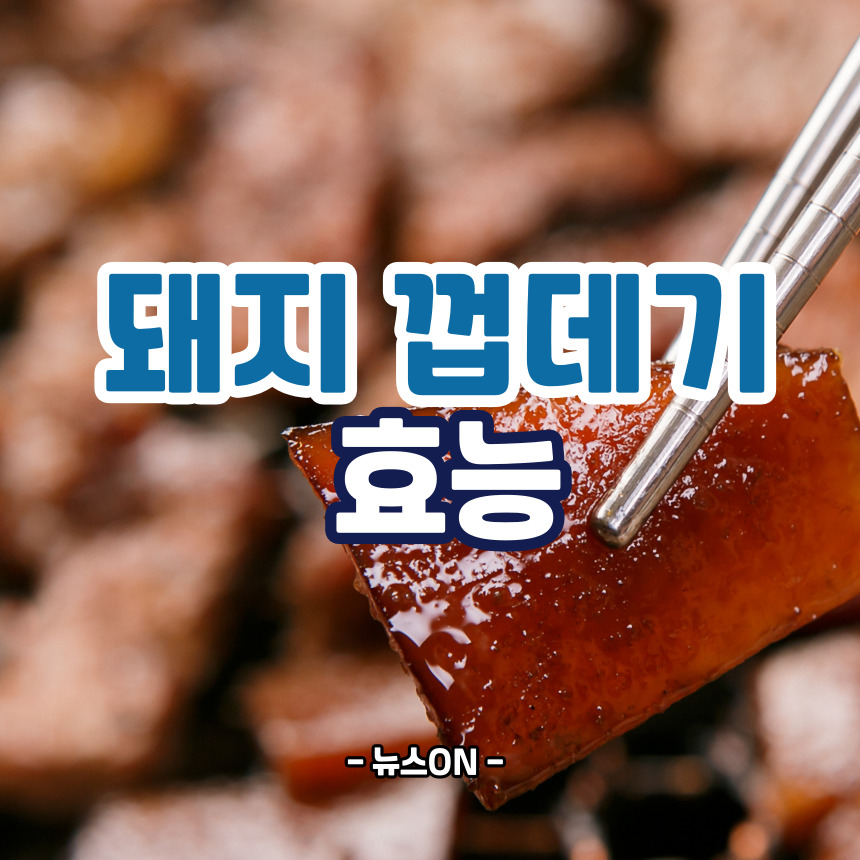 돼지 껍데기 효능