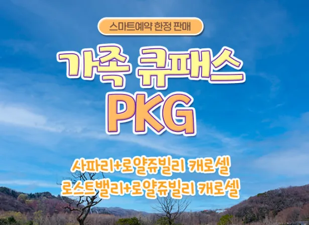 가족 큐패스PKG