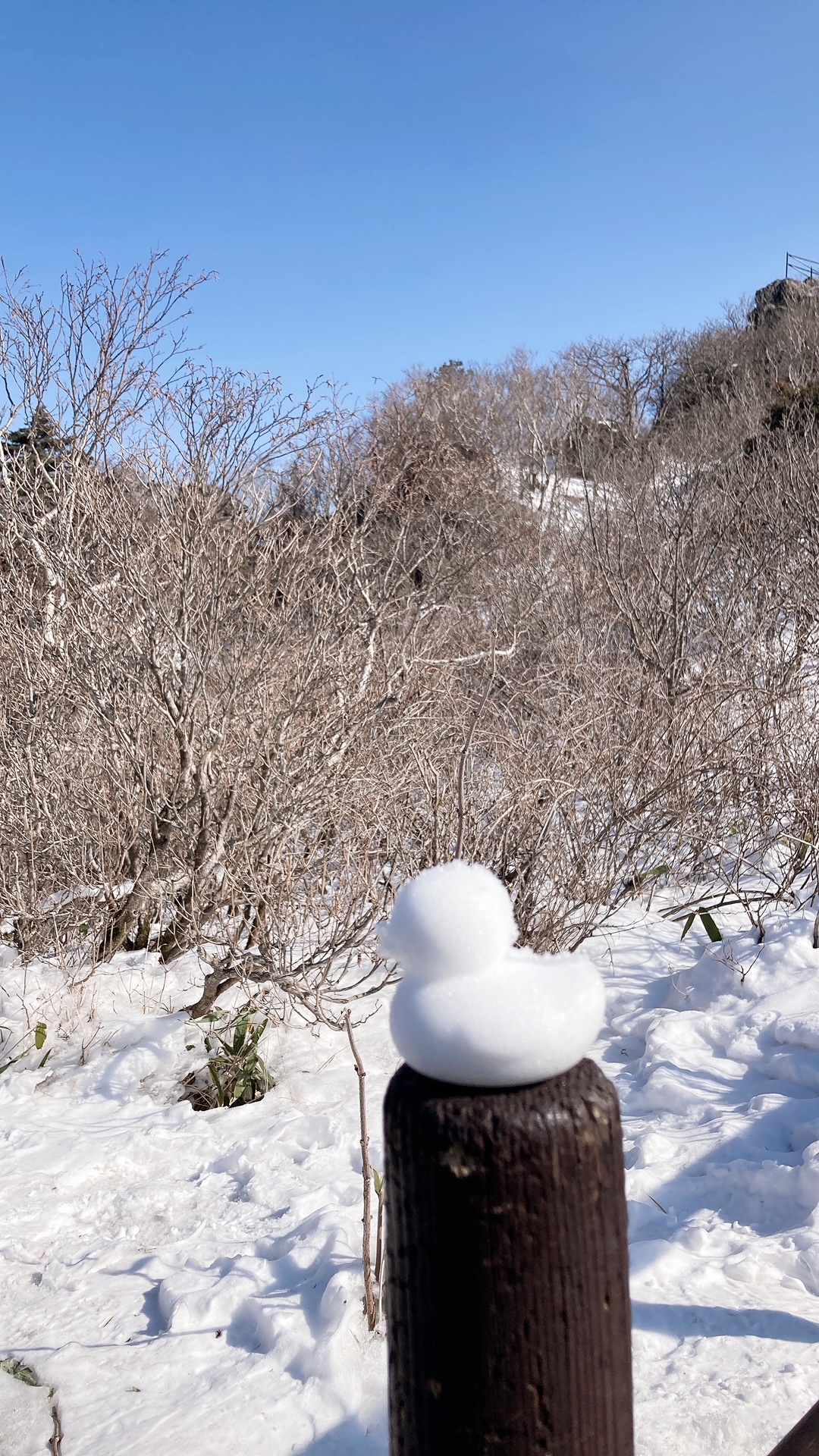 눈오리