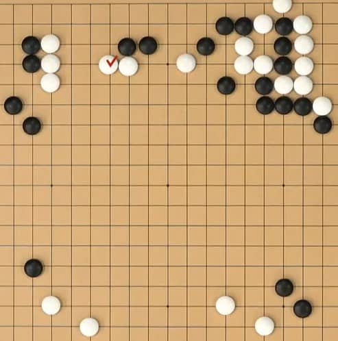 최정9단