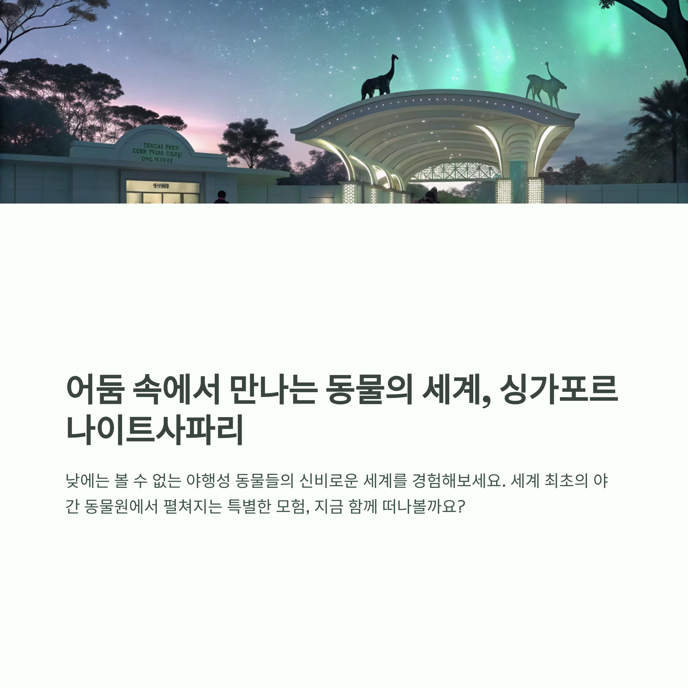 싱가포르 나이트사파리 생생 체험기