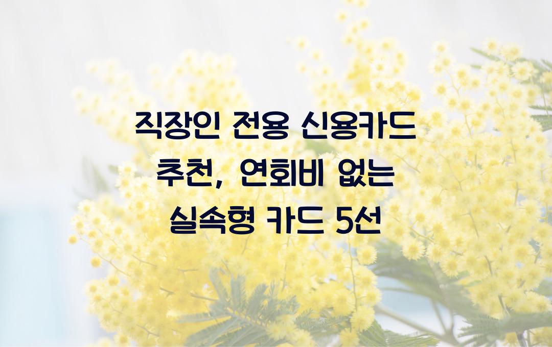직장인 전용 신용카드 추천 (연회비 없는 실속형 카드 TOP 5)
