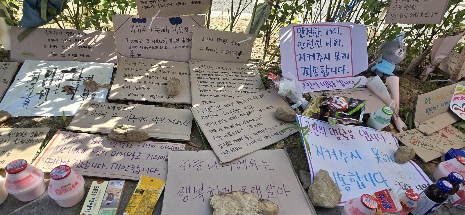 순천 여고생 묻지마 살인 사건 피의자 박대성 신상정보 공개, 국대찜닭은 공식입장 발표 순천 여고생 묻지마 살인 사건 피의자 박대성 신상정보 공개, 국대찜닭은 공식입장 발표