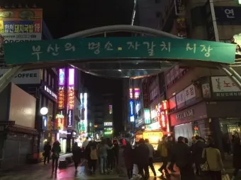 부산 자갈치시장 먹거리 투어 바다의 맛 체험_12