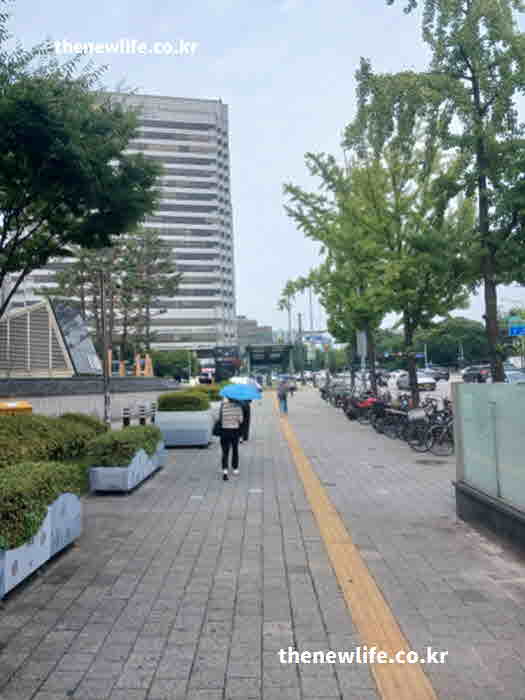 더위 먹었을때 증상 몸 채온