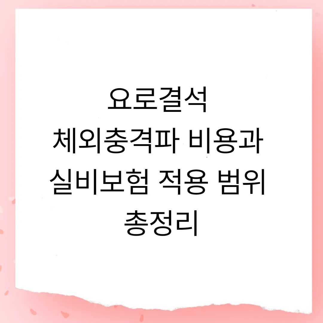 요로결석 체외충격파 비용과 실비보험 적용 범위 총정리