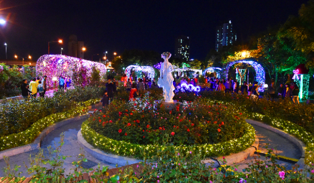 중랑 서울 "장미 축제"의 매혹적인 세계로