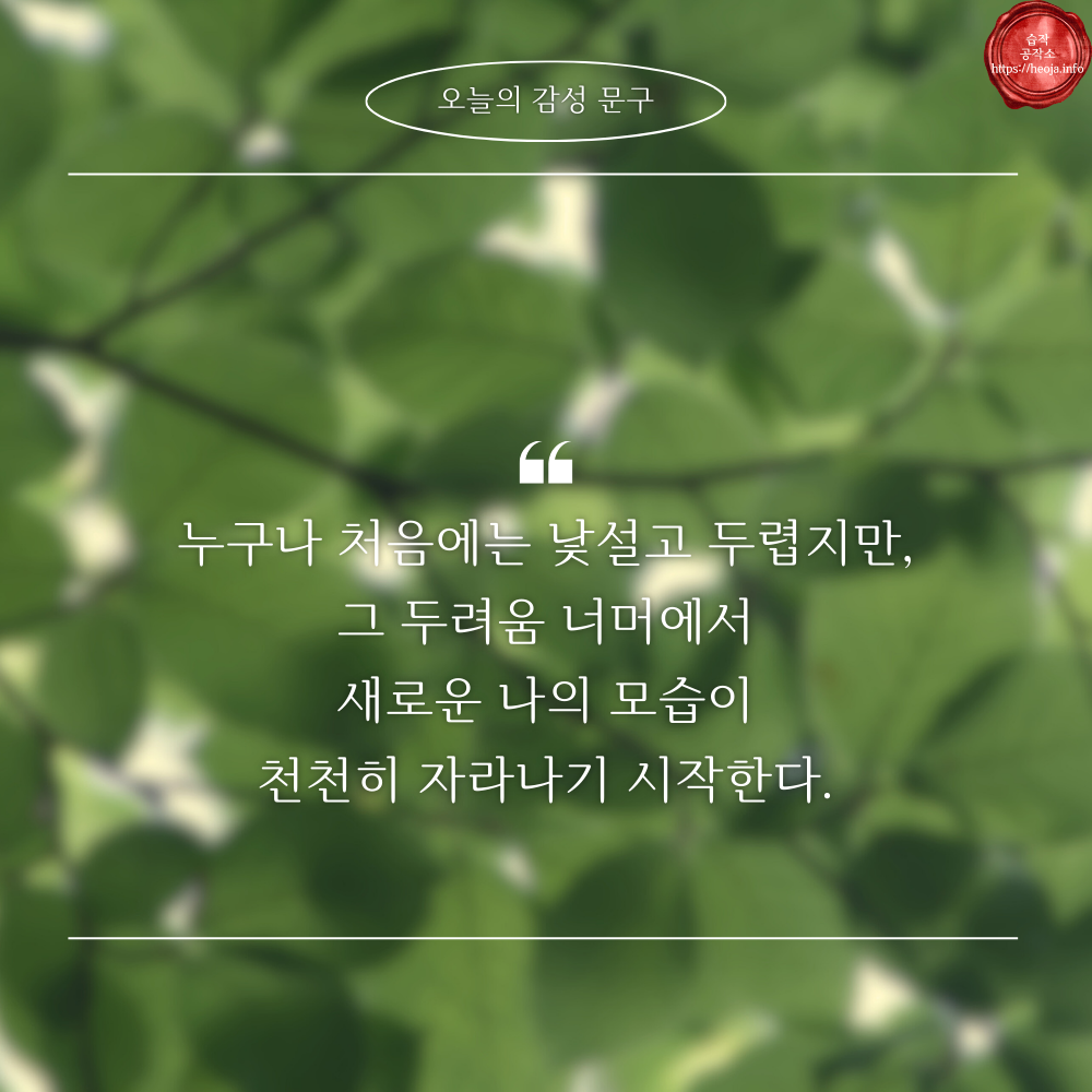 캘리그라피 글귀 모음 좋은 명언 문구 이미지 희망 긍정