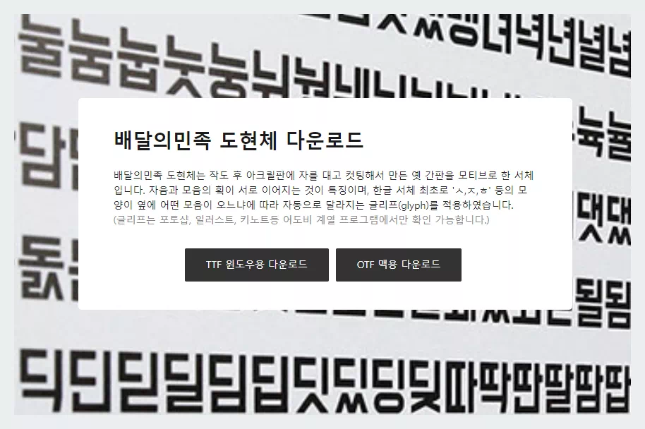 배달의 민족 도현체