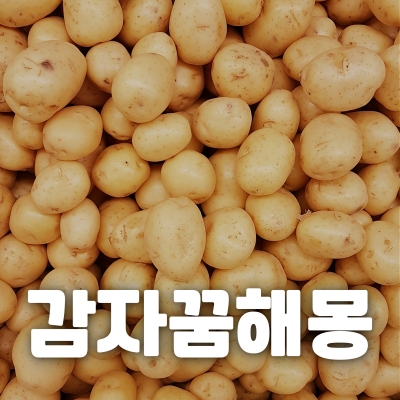 감자꿈해몽