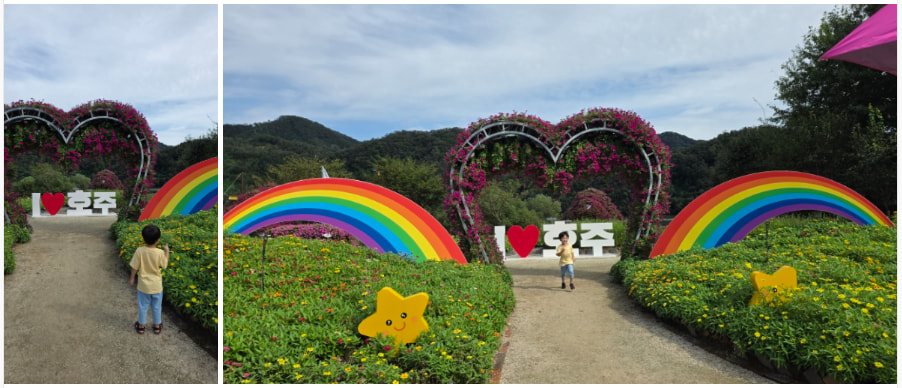 자라섬 (2025 꽃 페스타)