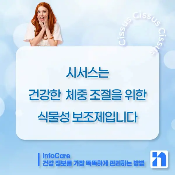 시서스 효능, 다이어트, 복용법