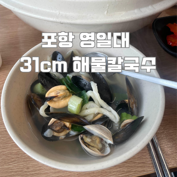 포항 가성비 맛집, 해운대 31cm 해물칼국수