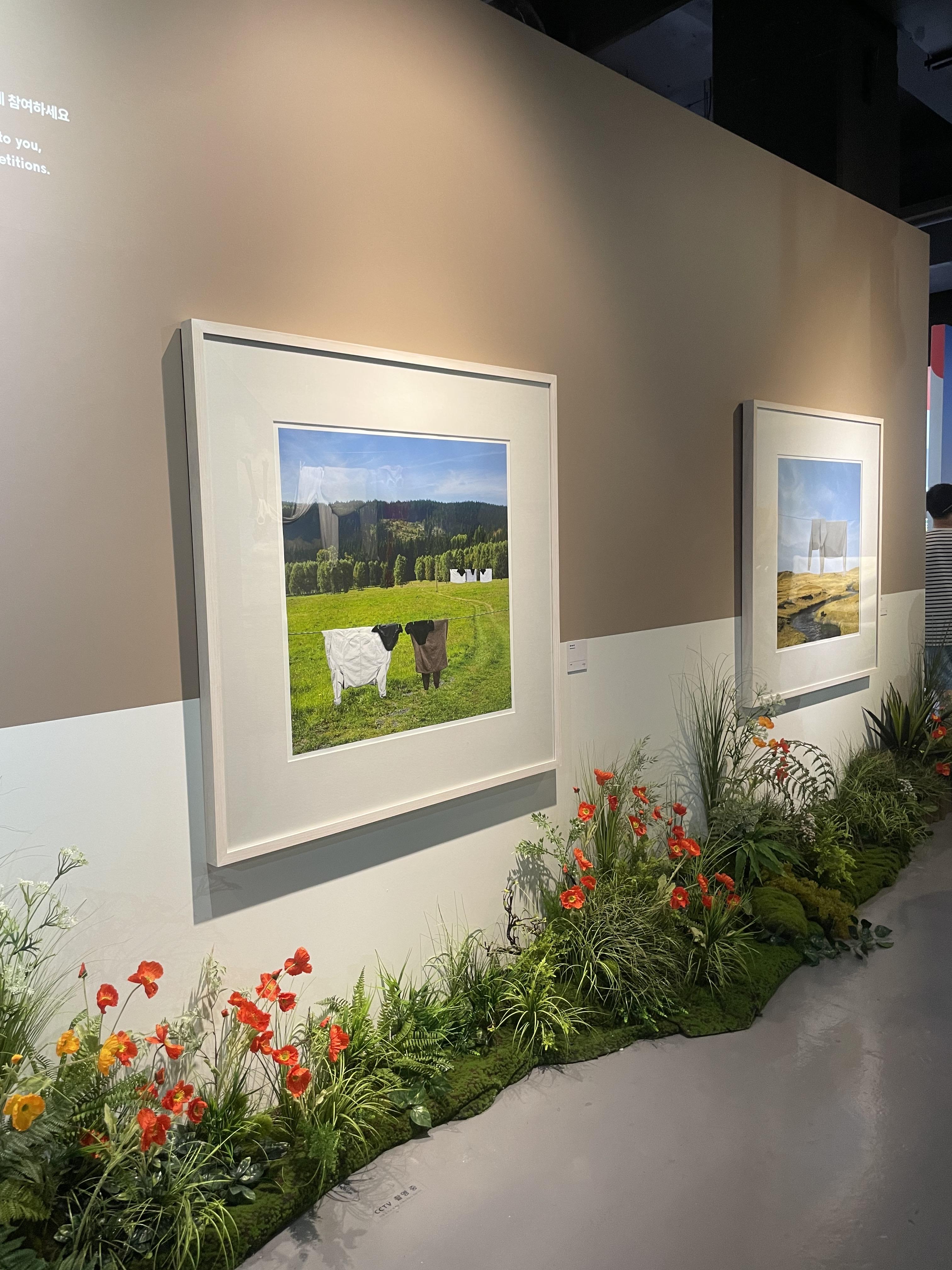 여수 아쿠아플라넷