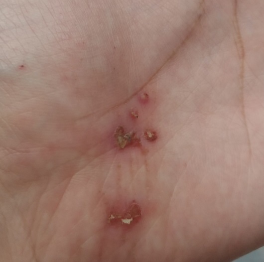 보조출연 알바 후기