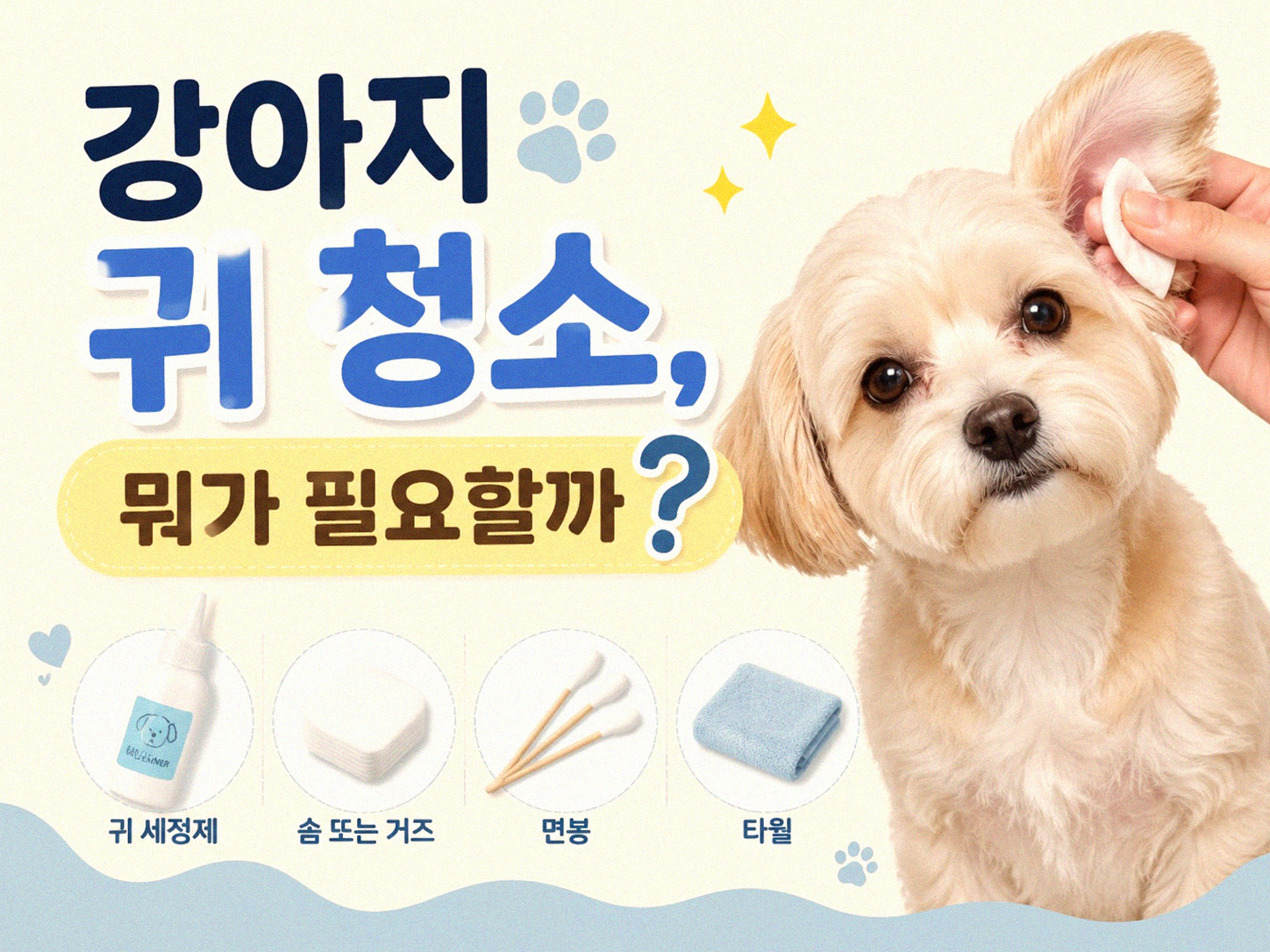 강아지 귀 청소, 이것만은 알아두세요