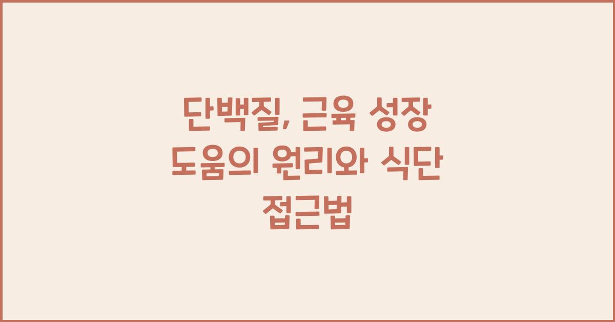 단백질, 근육 성장 도움