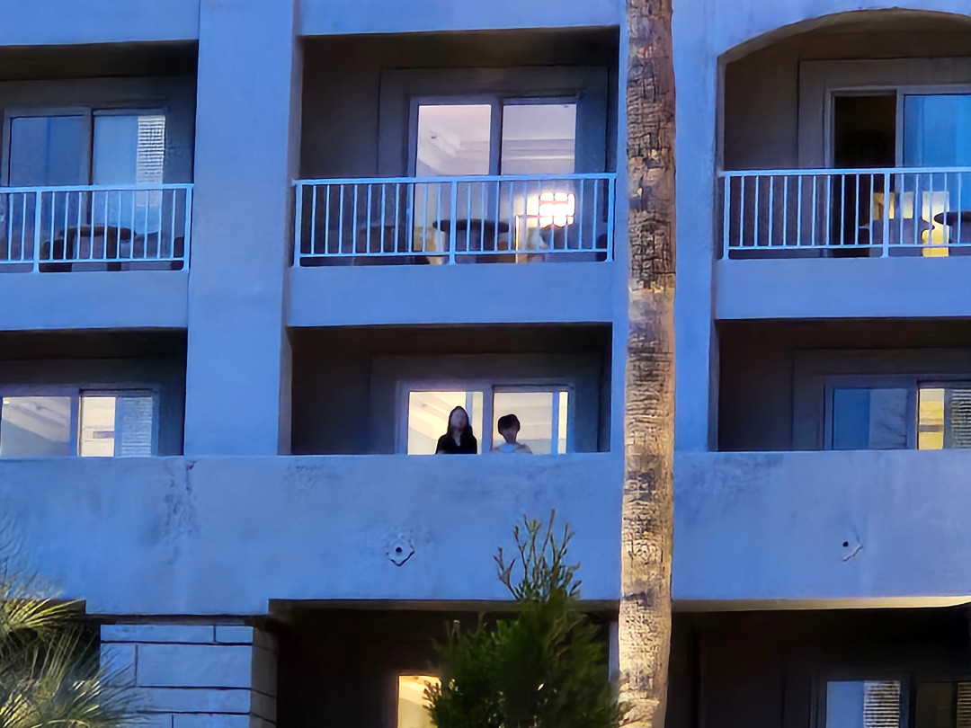 신라호텔 야간 공연 구경