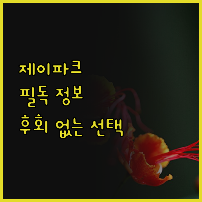 세부 제이파크 아일랜드 리조트 워터파