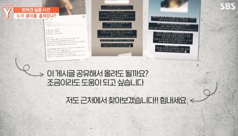 반려견-실종사건-궁금한이야기Y-sns캡쳐