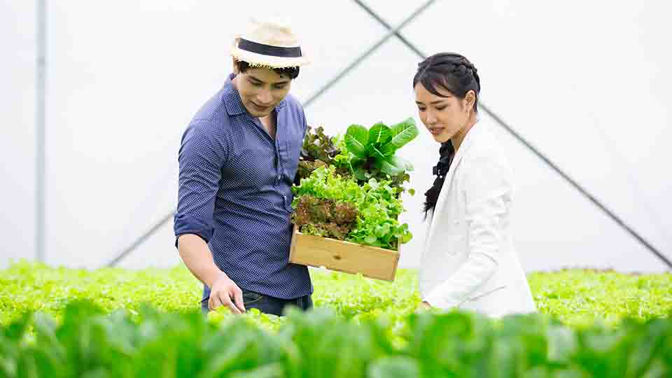 스마트팜 유통 연계 시스템: 생산 이후를 자동화한다면?