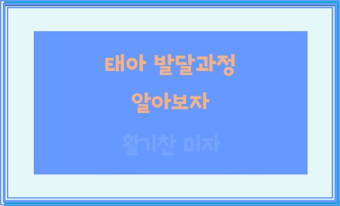 태아 발달과정 자세히 알아보자