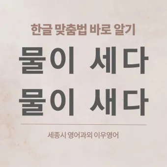 물이 세다 새다 맞춤법 맞는 표현_15