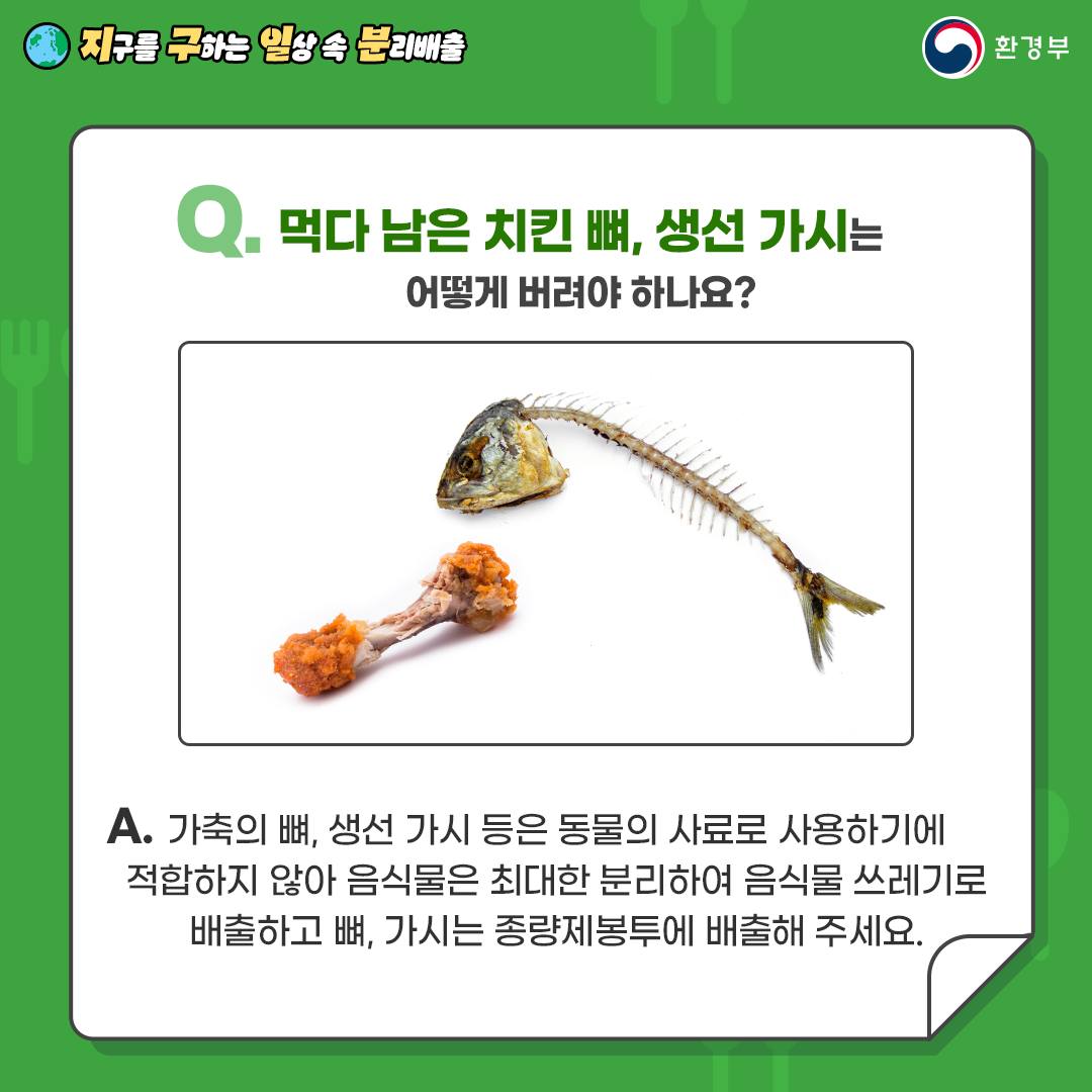 음식 뼈 분리배출 사진