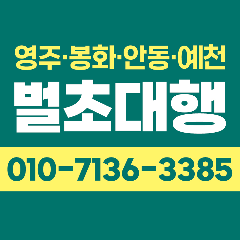 벌초대행