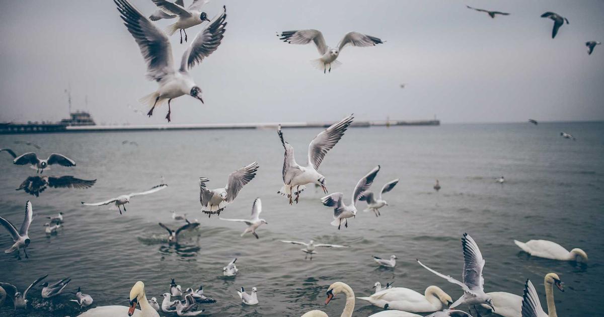 AI health management