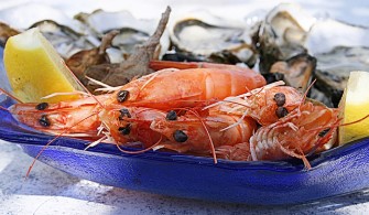 비브리오 패혈증 주의보! &ldquo;덜 익힌 해산물 위험해요&rdquo; 증상과 예방법