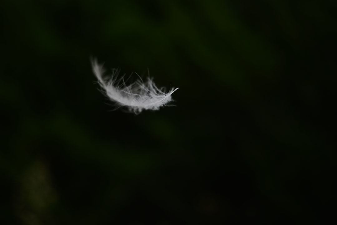 Heavenly Stem