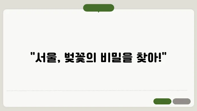 답십리 벚꽃
