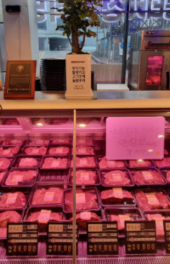 생방송투데이 집중탐구 한우이야기 맛집 알아보기