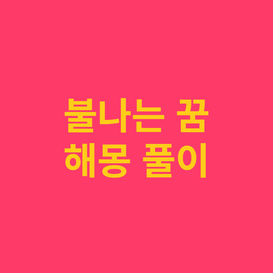 불나는 꿈