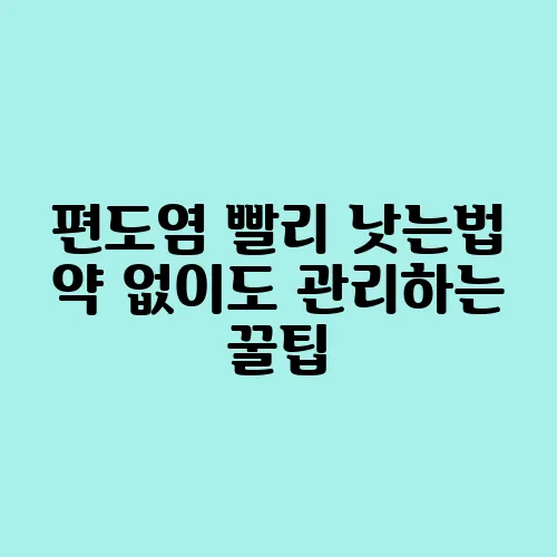 편도염 빨리 낫는법 약 없이도 관리하는 꿀팁