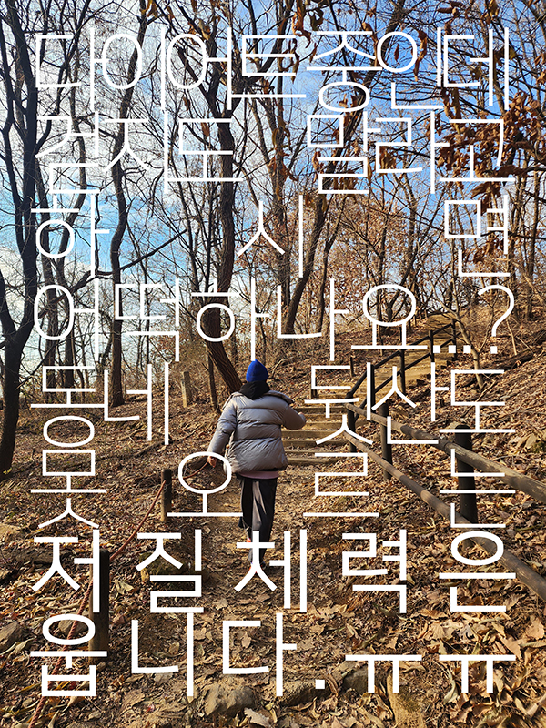 등산하는 사람 뒷모습 사진