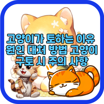 고양이가 토하는 이유 원인 대처 방법 고양이 구토 시 주의 사항