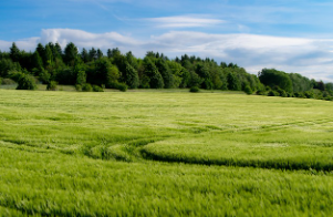보성군 공익직불금 신청 및 대상자 정리(농업보조금 신청기간)