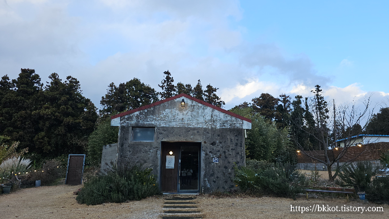제주도 카페테