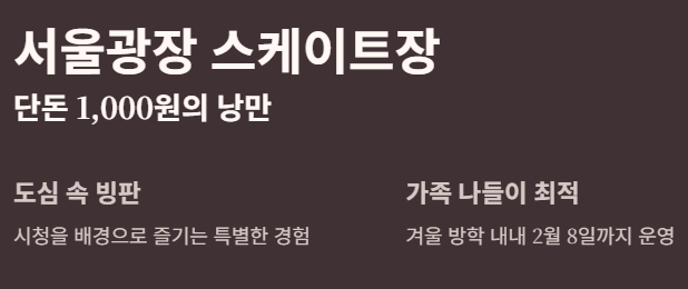 스케이트장 설명