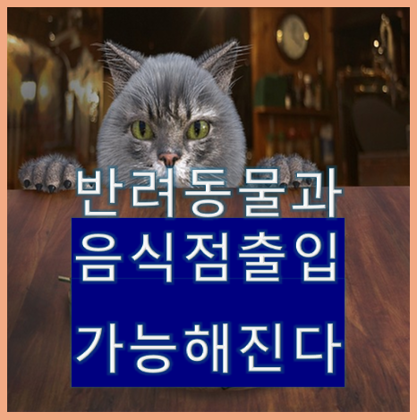 반려동물과 함께 식당 방문